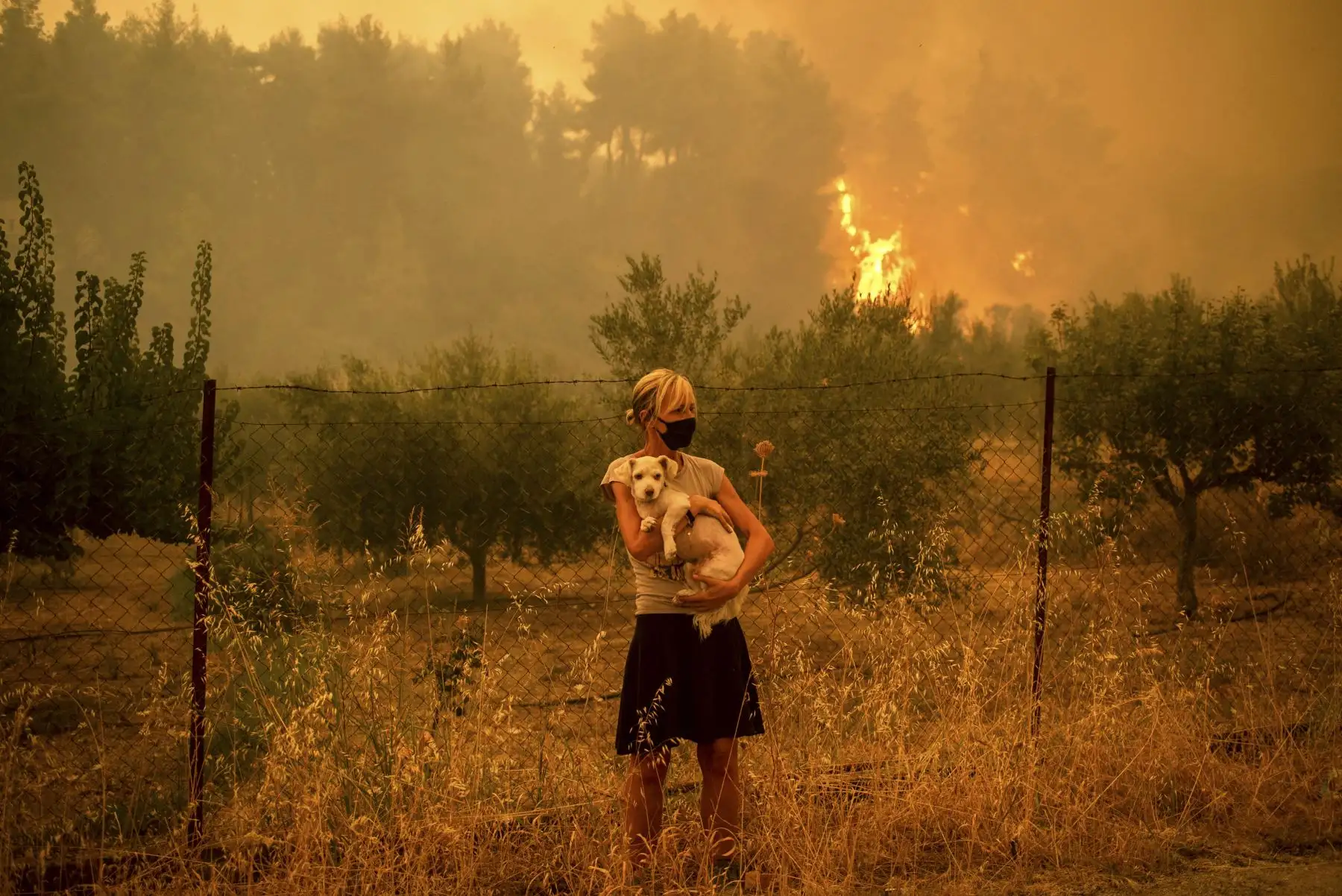 Una mujer sostiene un perro en sus brazos mientras los incendios forestales se acercan al pueblo de Pefki en la isla de Evia, la segunda isla más grande de Grecia. Foto: AFP