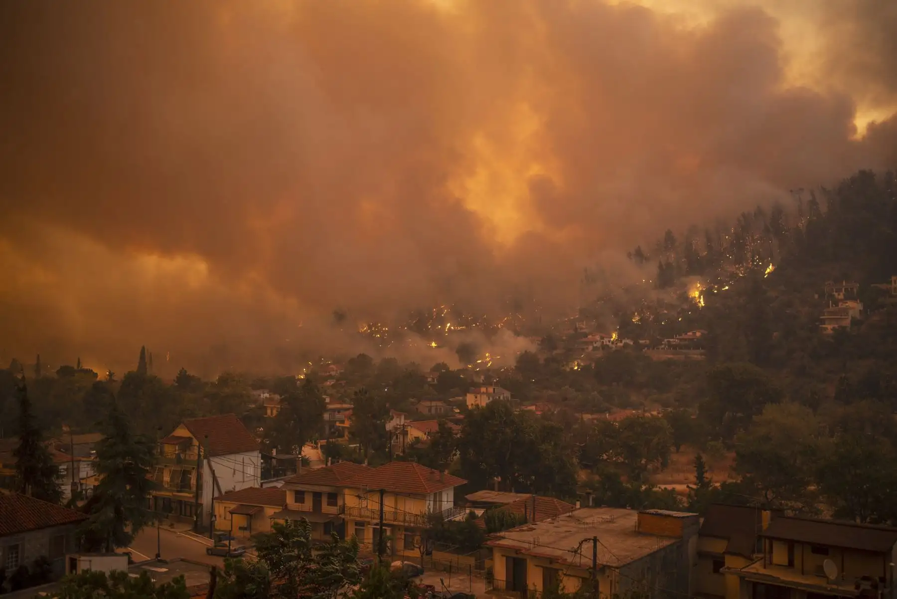 Una fotografía muestra el incendio forestal avanzando hacia el pueblo de Gouves en la isla de Evia, la segunda isla griega más grande. Foto: AFP