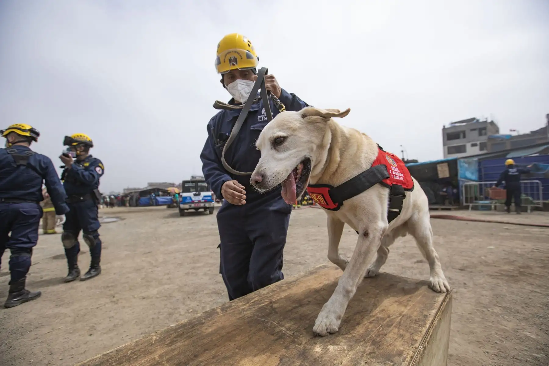 Empresa Municipal de Mercados, EMMSA, organiza primer Simulacro de Sismo en el Mercado Temporal Tierra Prometida en Lima.
Foto: MML