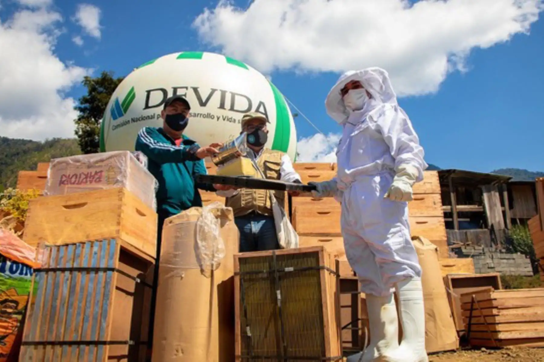 Devida busca darle sostenibilidad e importancia a la producción apícola con esta iniciativa. Foto: ANDINA/Devida