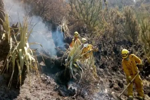Los trabajos en el distrito de Lucre para mitigar el fuego se mantienen hasta el momento.