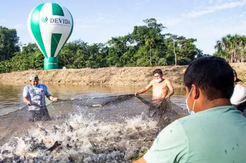 La actividad, que tiene una duración de ocho meses, busca mejorar la crianza de peces a través de la transferencia tecnológica. Foto: ANDINA/Devida