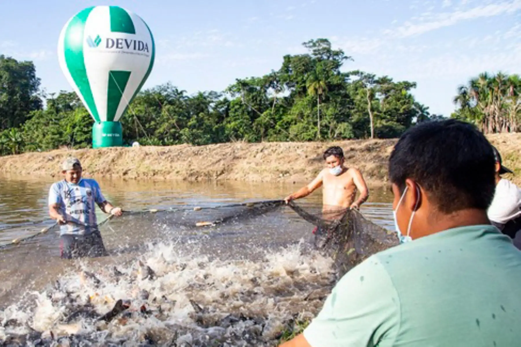 La actividad, que tiene una duración de ocho meses, busca mejorar la crianza de peces a través de la transferencia tecnológica. Foto: ANDINA/Devida