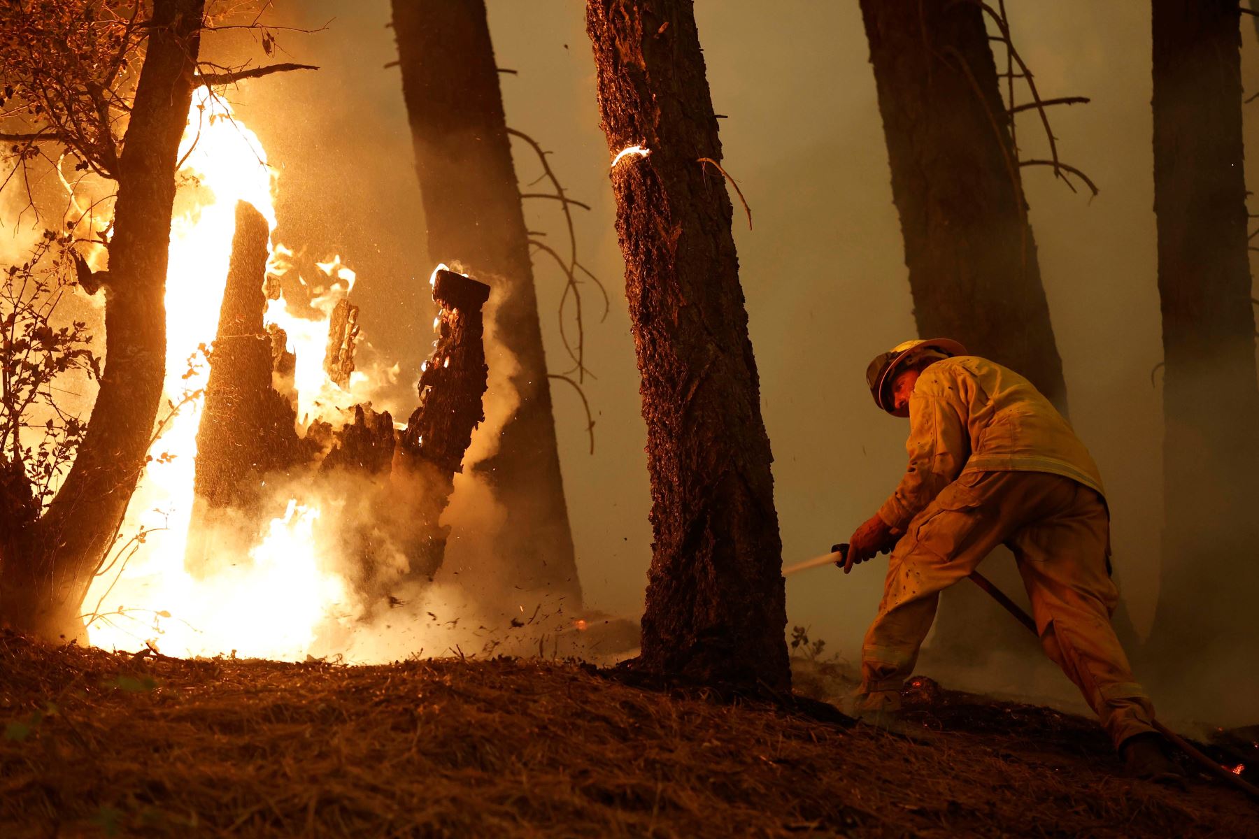 Un bombero combate las llamas en Dixie, condado de Plumas, California. Foto: EFE