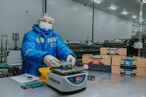 La convocatoria está centrada en cinco temáticas clave para la empresa agroindustrial: experiencias diferenciadoras para los clientes y consumidores; campo conectado y mejora de rendimiento de cultivos; mejora de la vida útil de los productos; eficiencia operacional y cadena de valor sostenible.