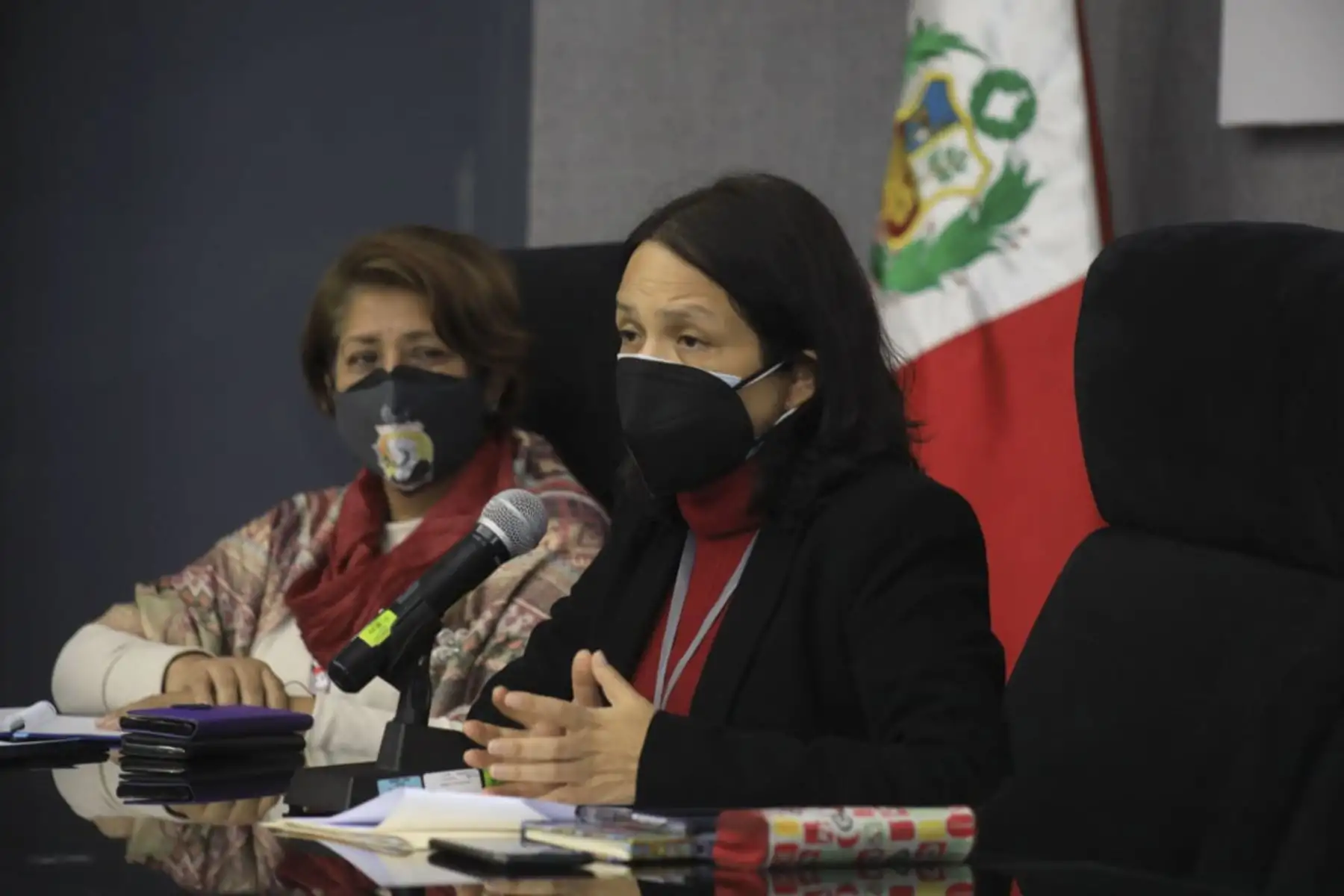 Ministra de la Mujer y Poblaciones Vulnerables, Anahí Durand Guevara. ANDINA/Andrés Valle