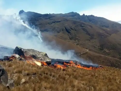 Autoridades de 18 regiones articulan esfuerzos para prevenir los incendios forestales en sus jurisdicciones, destacó el Serfor. ANDINA/Difusión