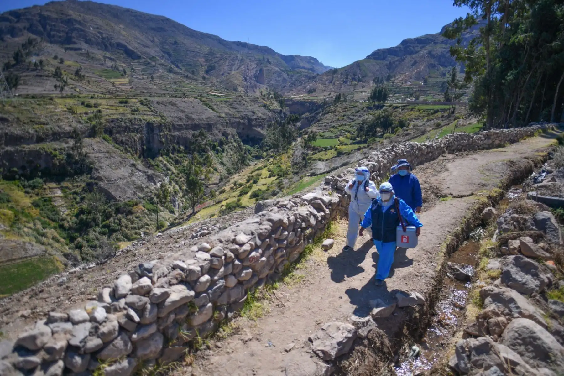 Brigada de enfermeras y personal de salud caminan más  de 5 horas para inmunizar con la segunda dosis de la vacuna Pfizer para combatir el covid - 19 en la  provincia de Caylloma de la región de Arequipa.
Foto: Cortesía Diego Ramos
