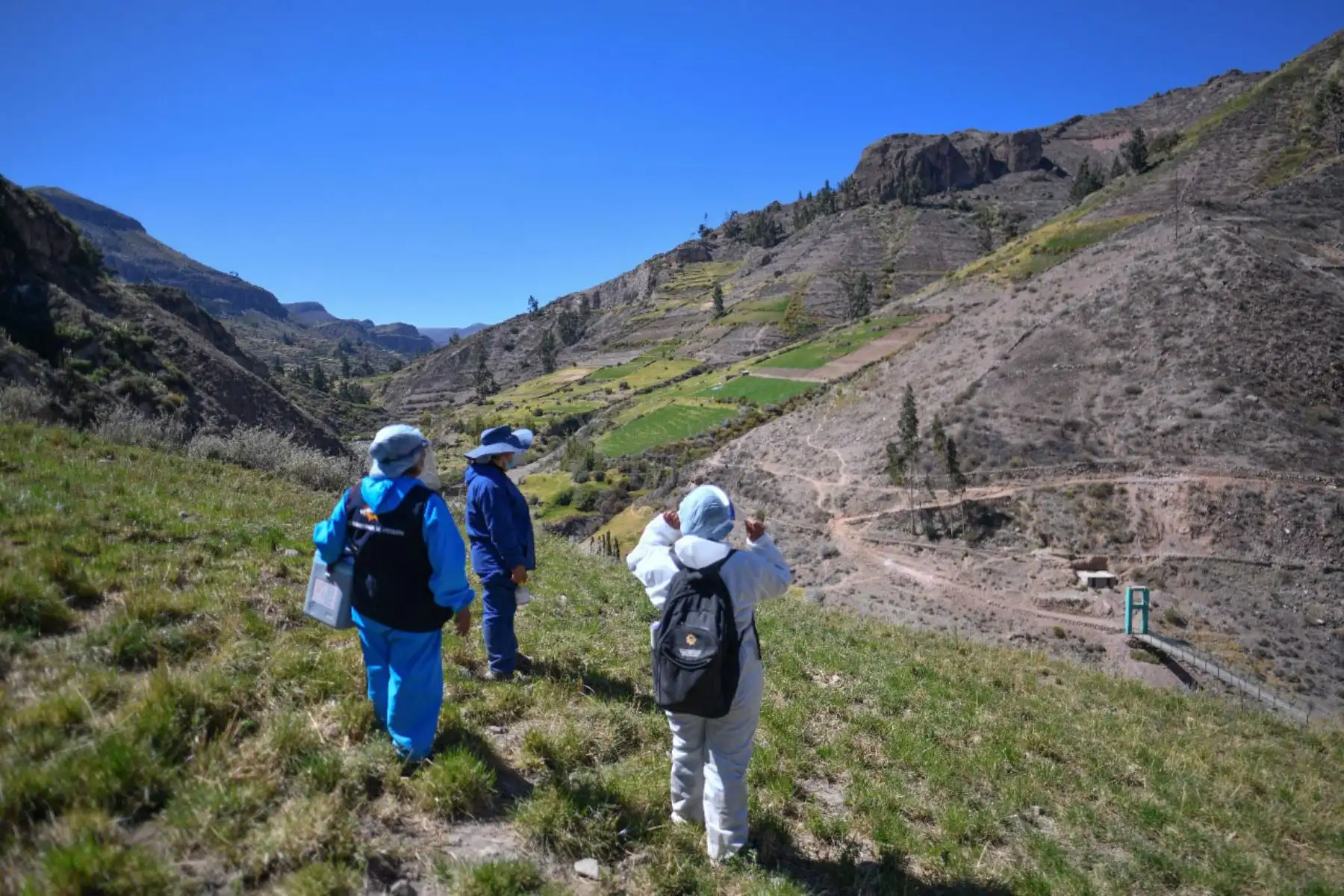 Brigada de enfermeras y personal de salud caminan más  de 5 horas para inmunizar con la segunda dosis de la vacuna Pfizer para combatir el covid - 19 en la  provincia de Caylloma de la región de Arequipa.
Foto: Cortesía Diego Ramos