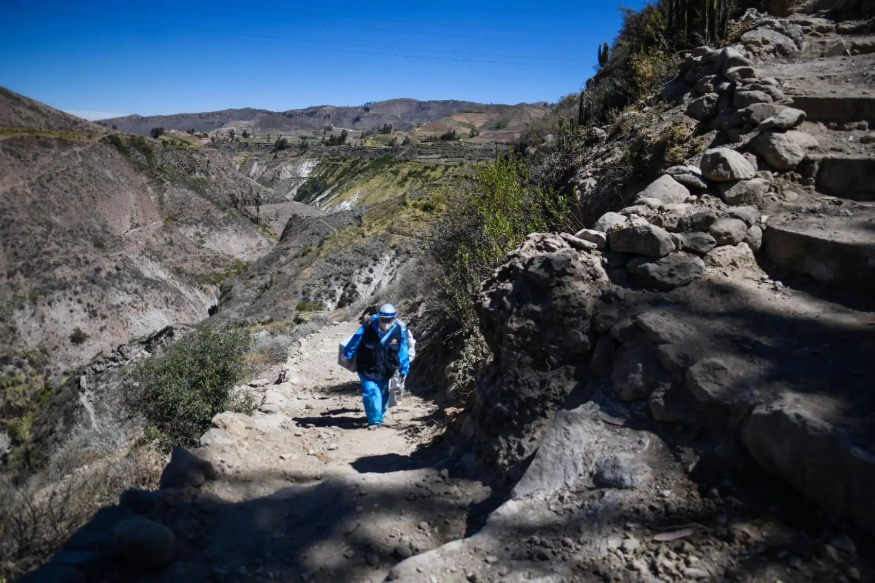 Brigada de enfermeras y personal de salud caminan más  de 5 horas para inmunizar con la segunda dosis de la vacuna Pfizer para combatir el covid - 19 en la  provincia de Caylloma de la región de Arequipa.
Foto: Cortesía Diego Ramos