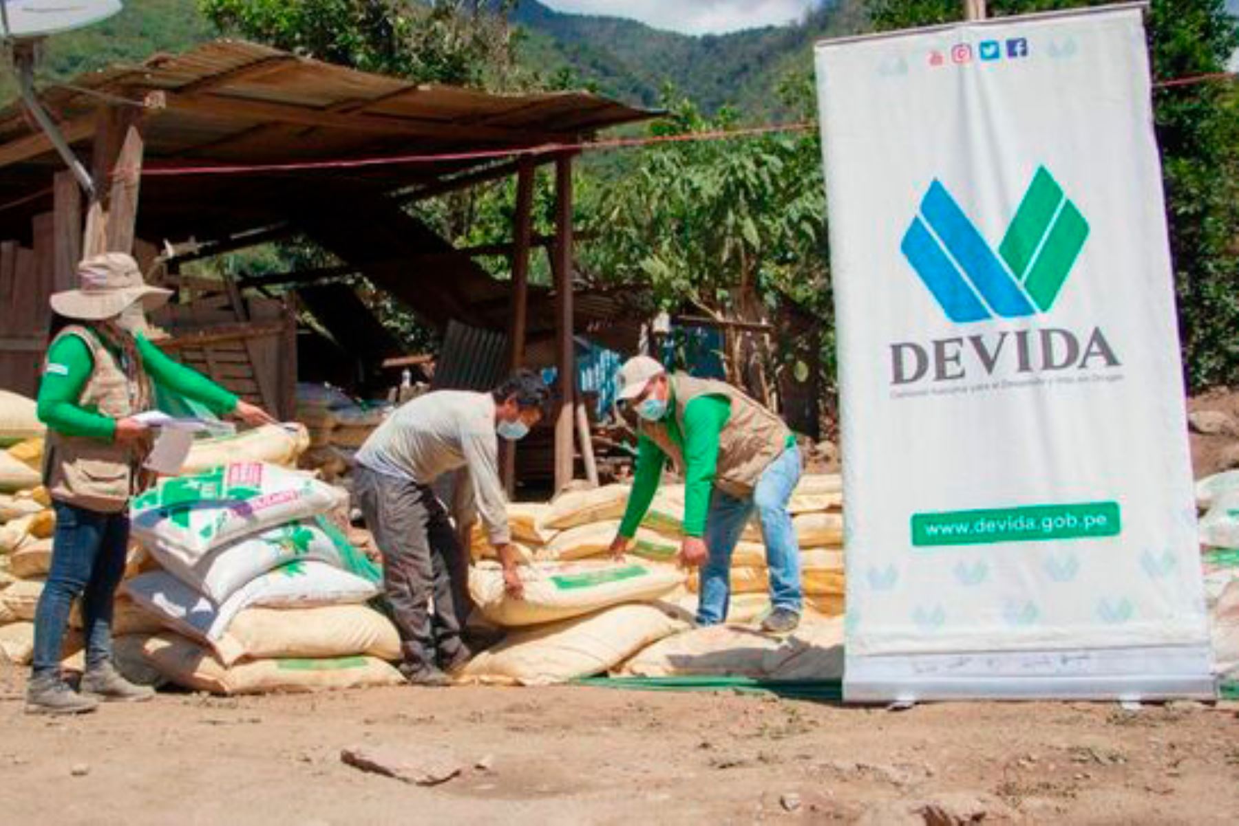 Con la intervención de Devida se espera llegar a  930 kg por hectárea de cultivos. Foto: ANDINA/Devida