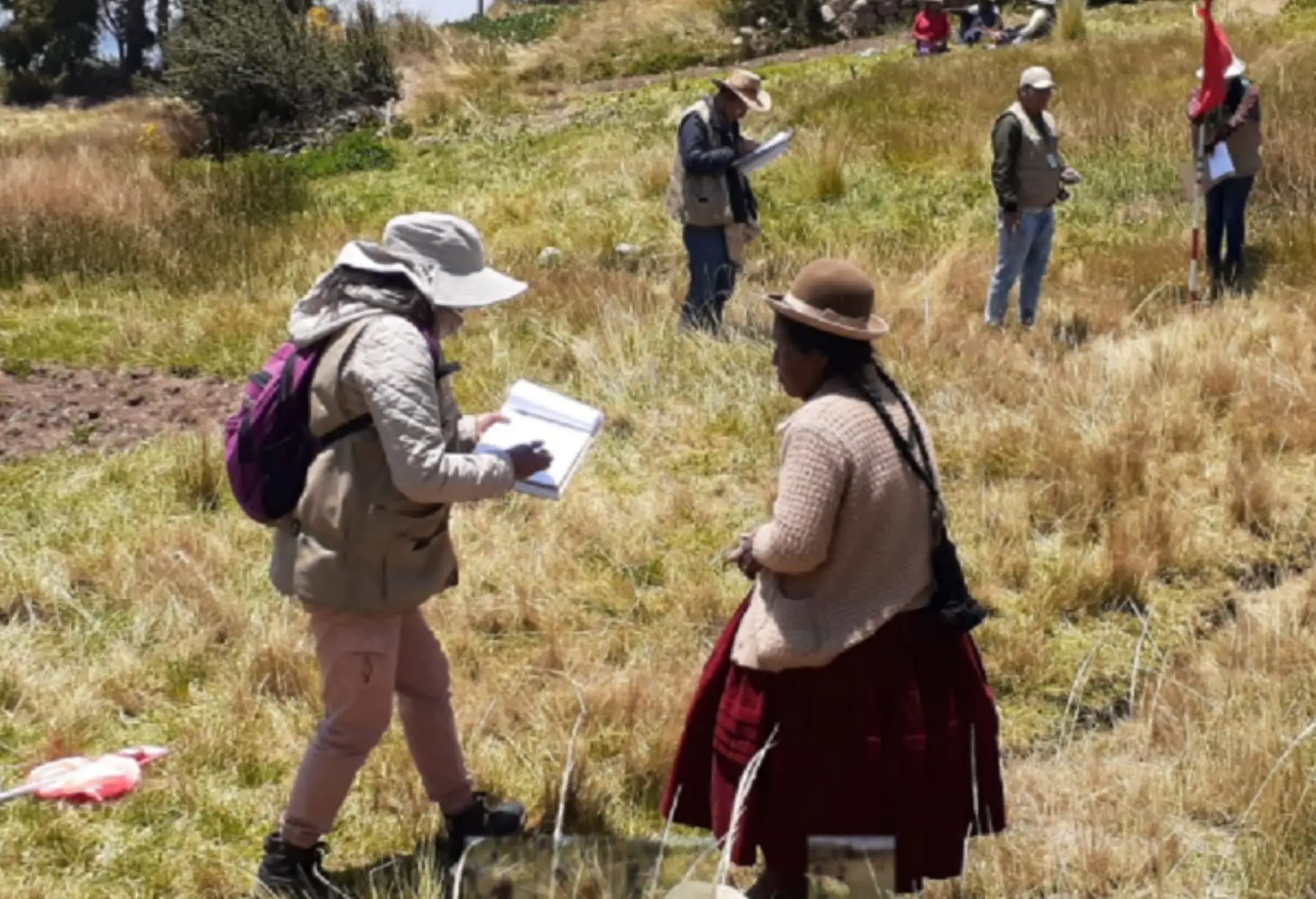 El Ministerio de Desarrollo Agrario y Riego, a través de la Unidad Ejecutora de Proyectos Sectoriales, inscribió 1,262 títulos de propiedad en comunidades aimaras del lago Titicaca.