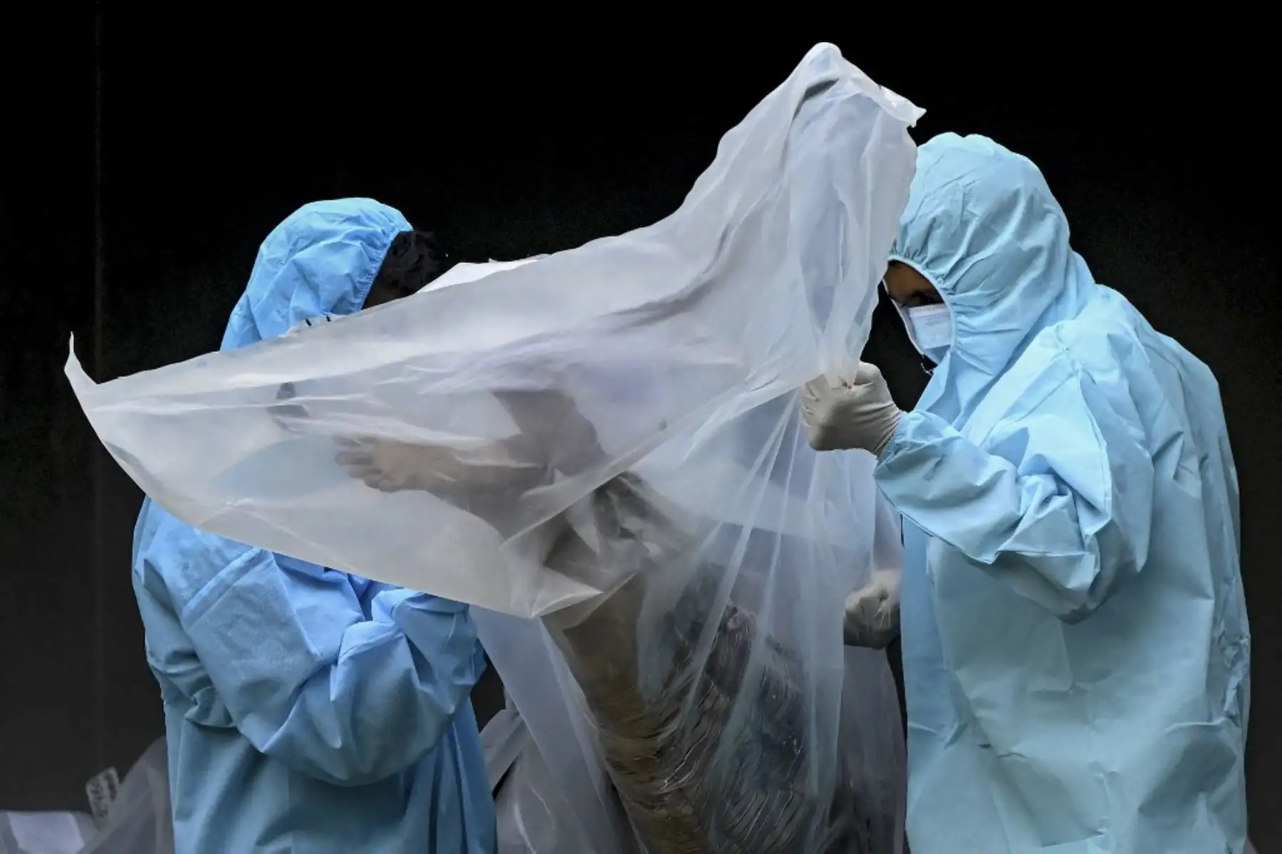 Trabajadores de la morgue sacan un cuerpo no identificado de un contenedor congelador para ser llevado a una prueba de reacción en cadena de la polimerasa (PCR) Covid-19 en las instalaciones del Oficial Médico Judicial en Colombo, Sri Lanka, el 10 de agosto de 2021. Foto: AFP