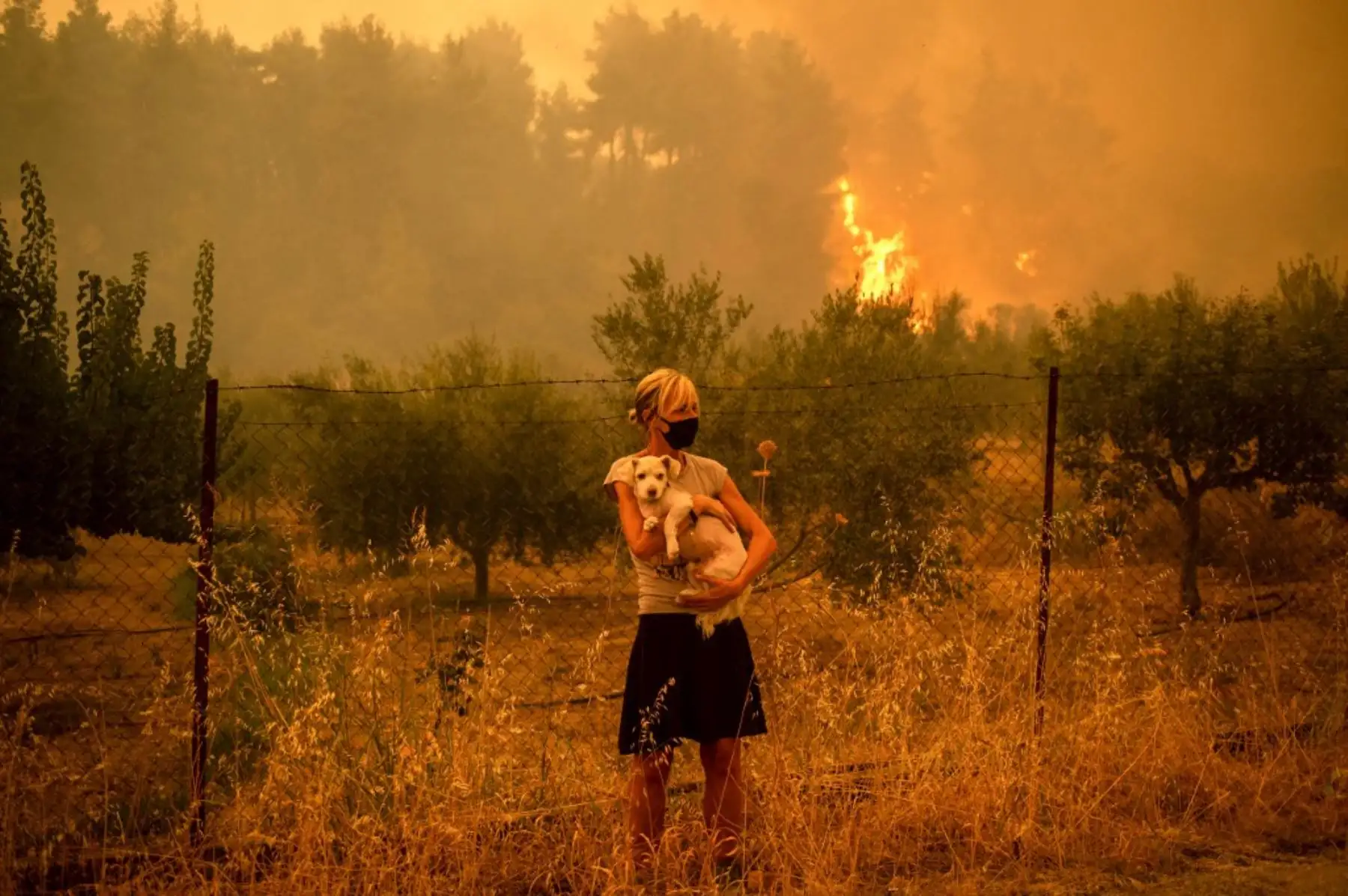 Una mujer sostiene un perro en sus brazos mientras los incendios forestales se acercan al pueblo de Pefki en la isla de Evia (Eubea), la segunda isla más grande de Grecia, el 8 de agosto de 2021. Foto: AFP