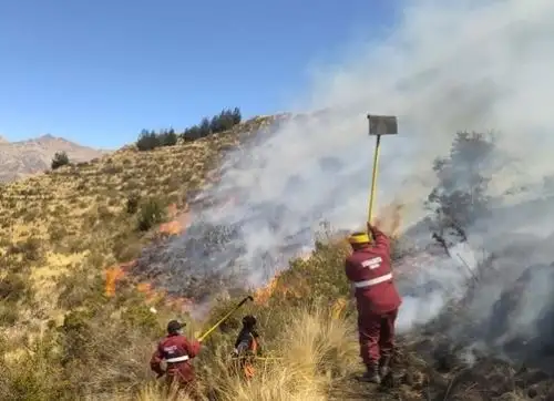 El incendio forestal que se inició el 9 de setiembre en el sector de Yanahuara-Media Luna, del distrito y provincia de Urubamba, departamento del Cusco, fue extinguido en su totalidad sin que se registren daños a la vida ni a la salud de las personas, informó el Indeci. Foto: ANDINA/difusión.