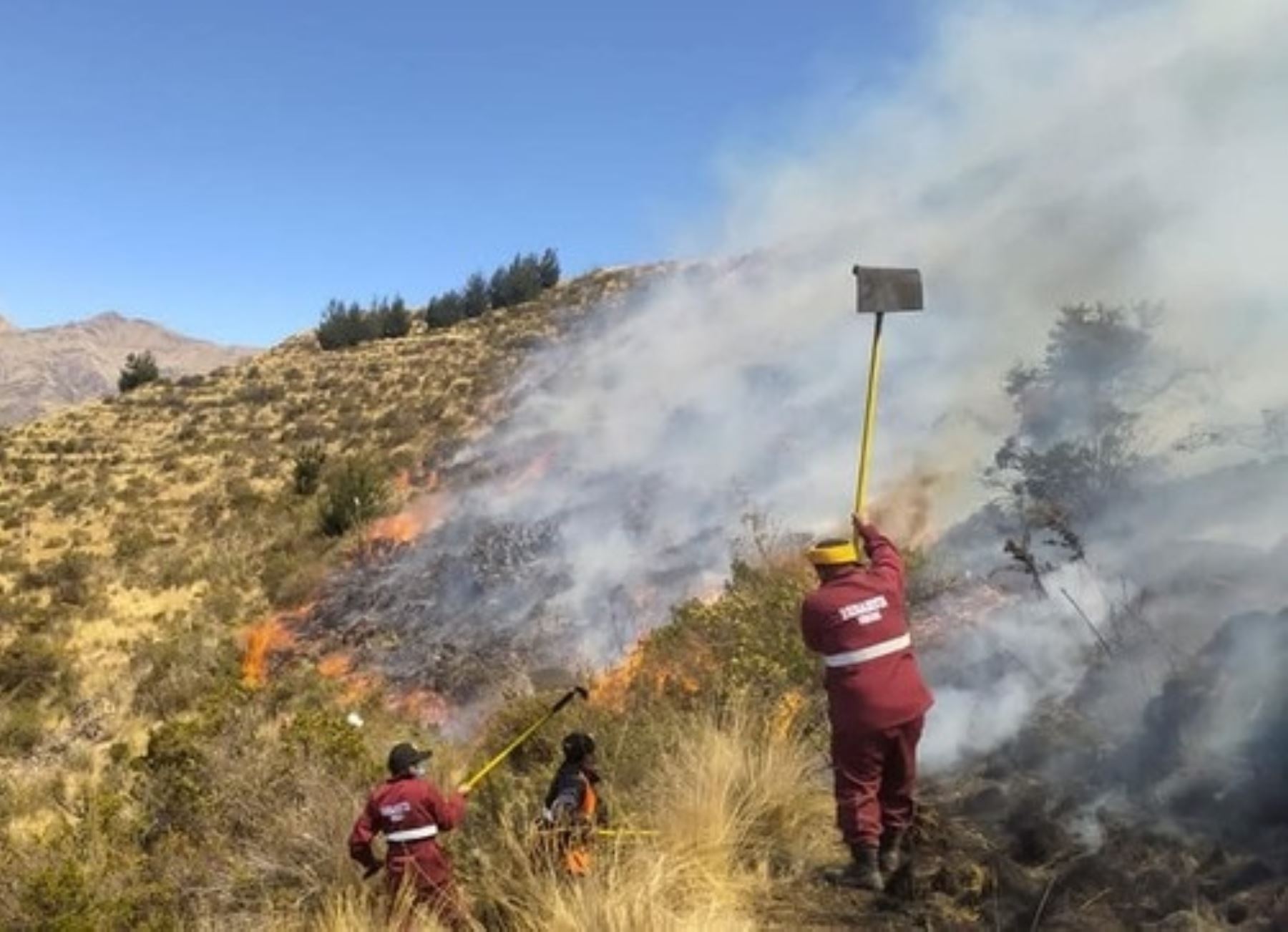 El incendio forestal que se inició el 9 de setiembre en el sector de Yanahuara-Media Luna, del distrito y provincia de Urubamba, departamento del Cusco, fue extinguido en su totalidad sin que se registren daños a la vida ni a la salud de las personas, informó el Indeci. Foto: ANDINA/difusión.