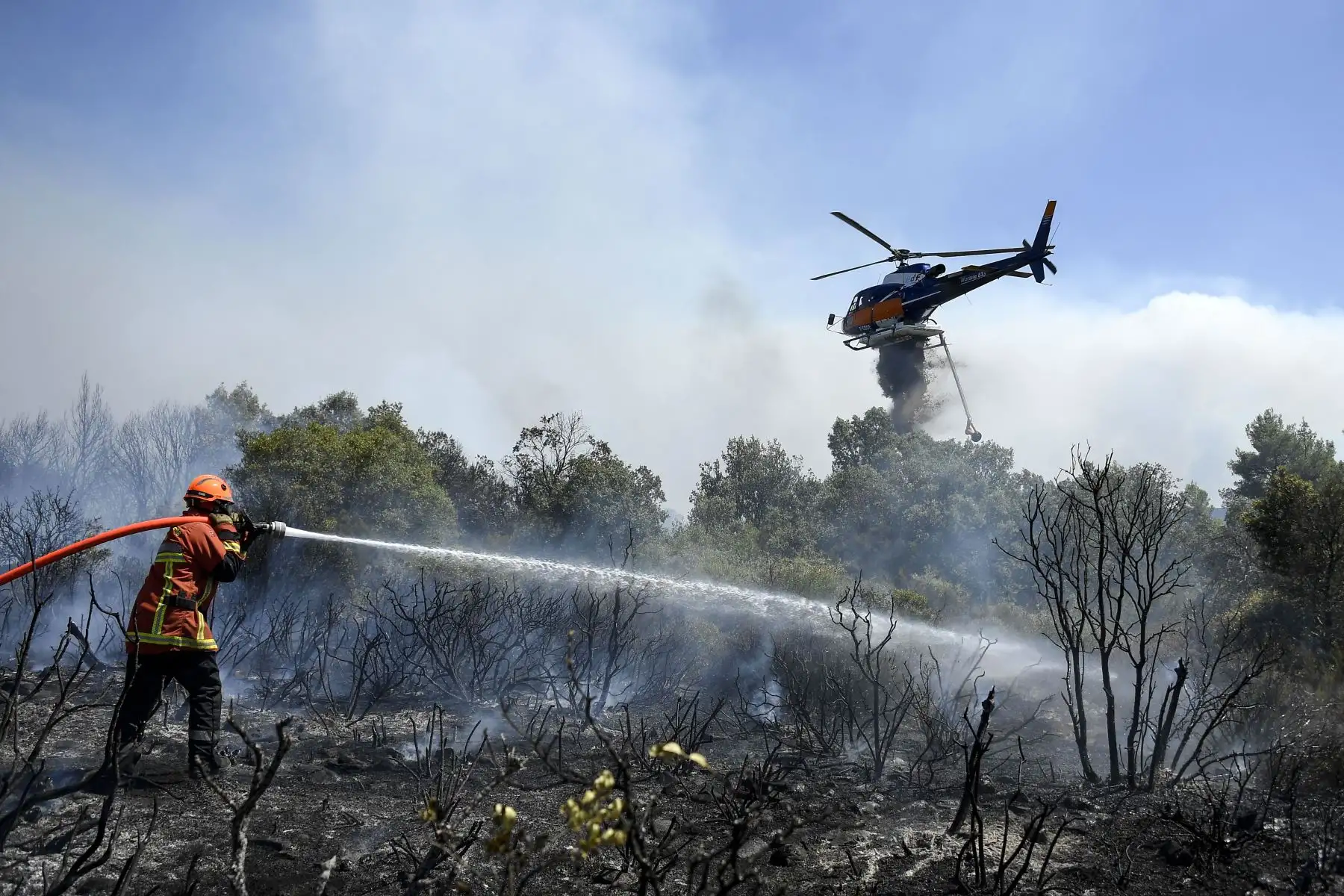 Un bombero francés utiliza una manguera de agua como un Eurocopter AS-350B-3 Ecureuil lanza agua para extinguir un incendio en Gonfaron, en el departamento francés de Var, en el sur de Francia.
Foto: AFP