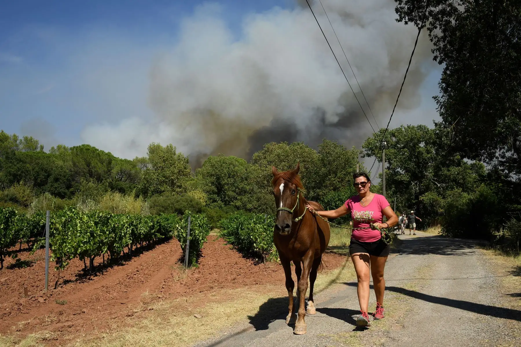 Una mujer evacua a un caballo mientras el humo se eleva en el fondo de un incendio en Gonfaron, en el departamento francés de Var, en el sur de Francia.
Foto: AFP
