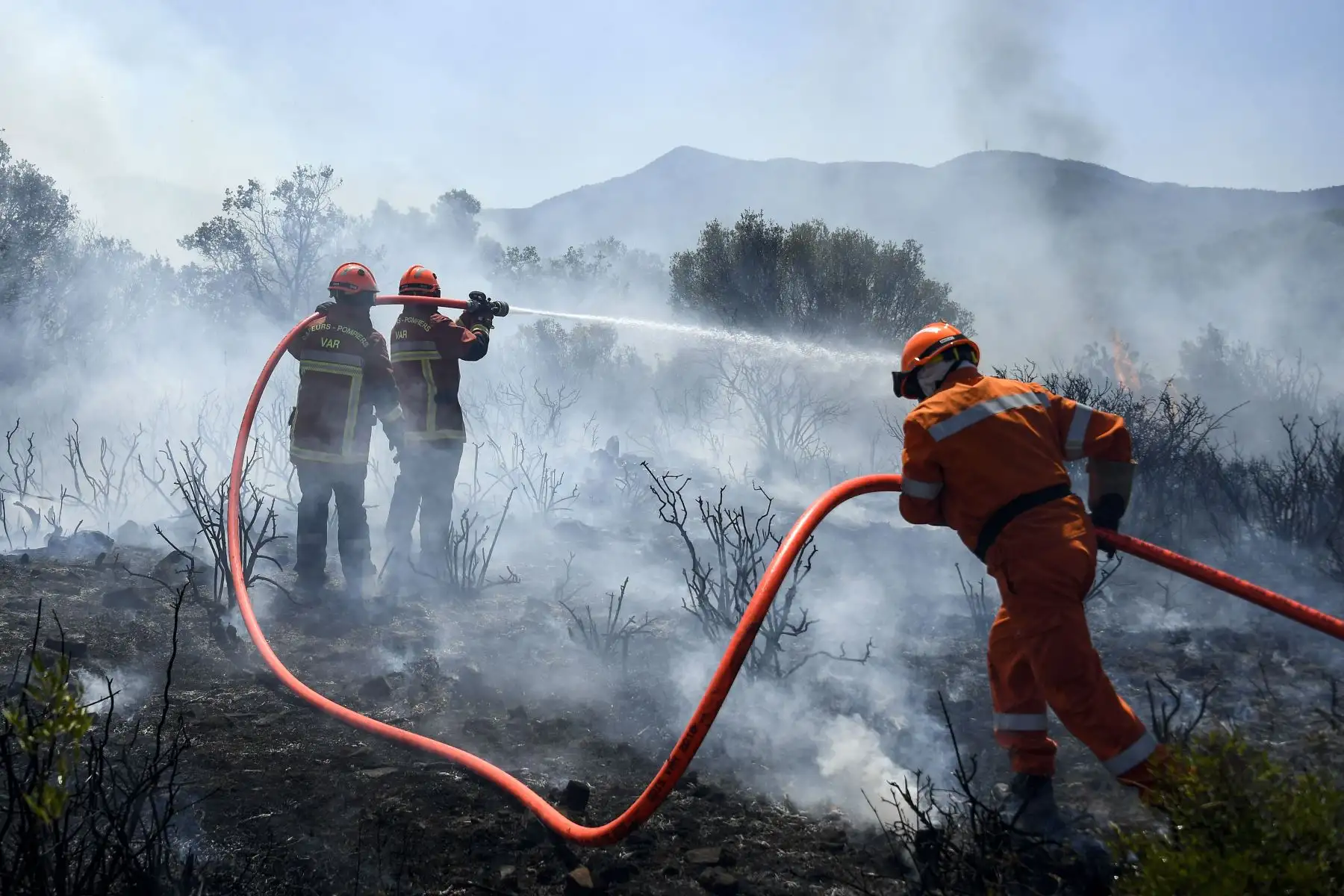 Los bomberos franceses usan una manguera de agua para extinguir un incendio en Gonfaron, en el departamento francés de Var, en el sur de Francia.
Foto: AFP