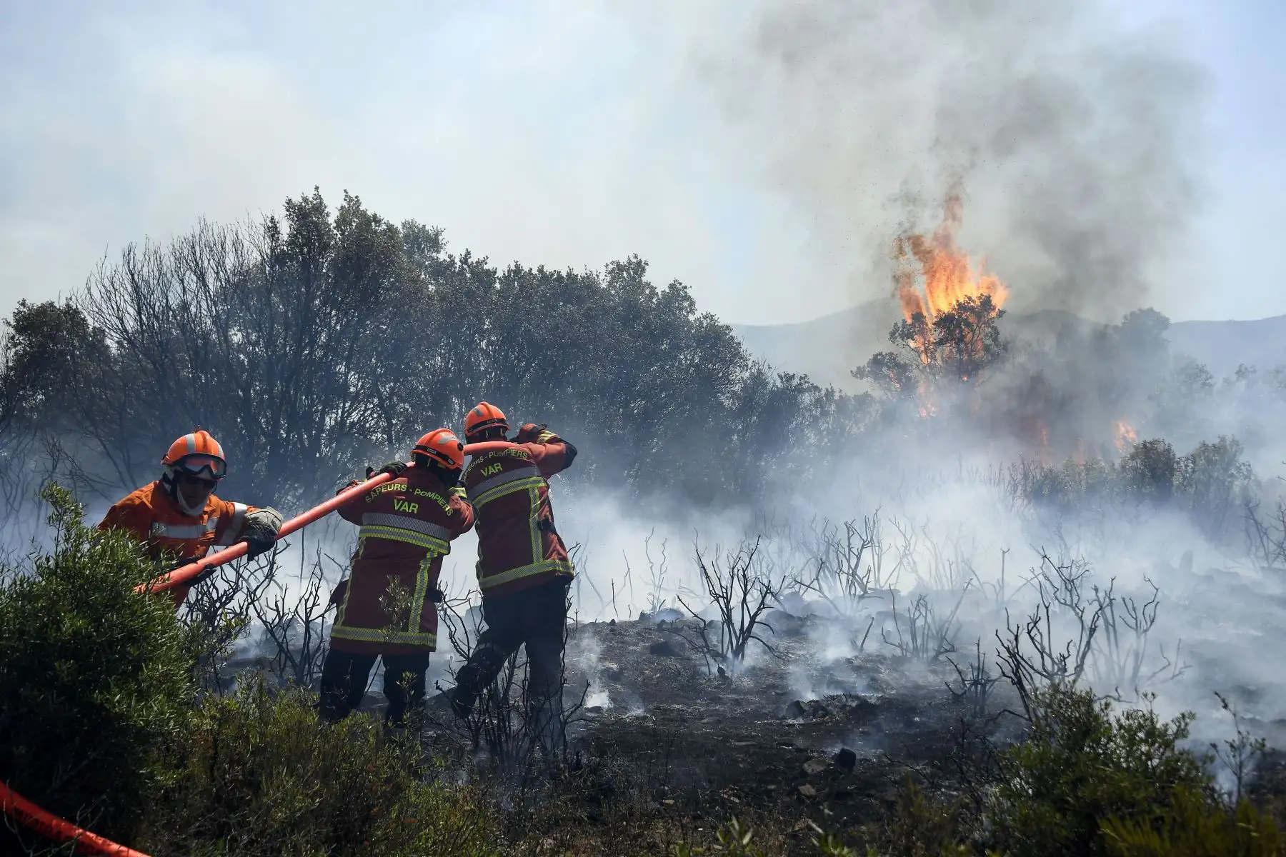 Los bomberos franceses utilizan una manguera de agua para extinguir un incendio en Gonfaron, en el departamento francés de Var, en el sur de Francia.
Foto: AFP