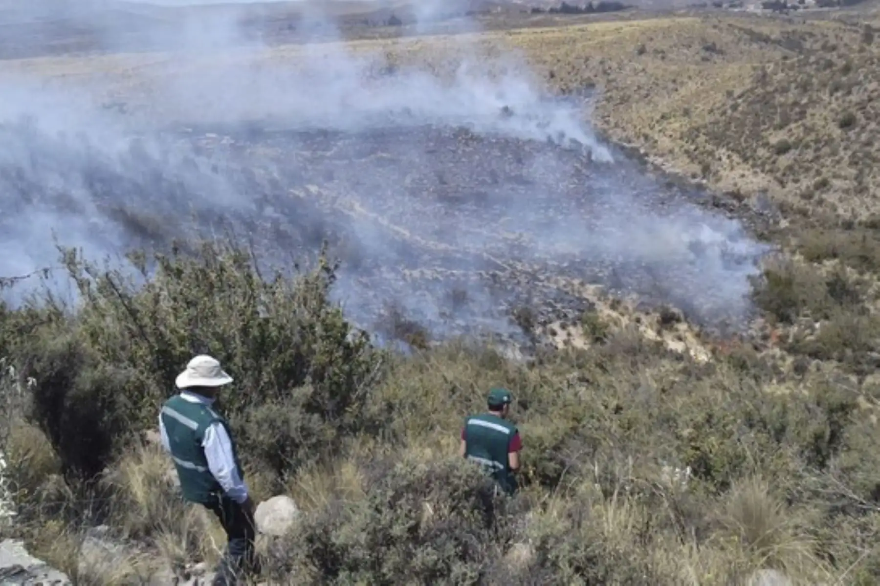 Durante el 2019 se registraron 11,265 focos de calor en la región Ucayali y 16,726 hectáreas de superficie o coberturas fueron afectadas. Foto: ANDINA/Difusión