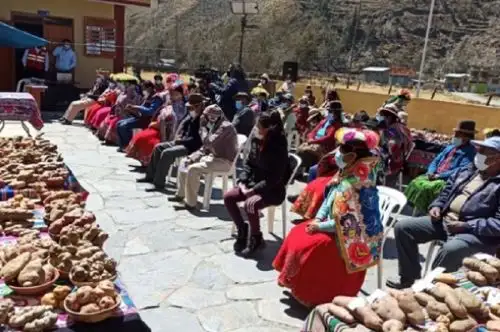 Un total de 51 familias de seis comunidades campesinas del distrito de Cuyocuyo, en Puno, se beneficiaron con las retribuciones otorgadas por el Ministerio del Ambiente, por un valor de S/ 22 000, en reconocimiento a su labor de recuperación de 22 cultivares de papa, oca, olluco y añu o mashua, que estaban en peligro de desaparecer.