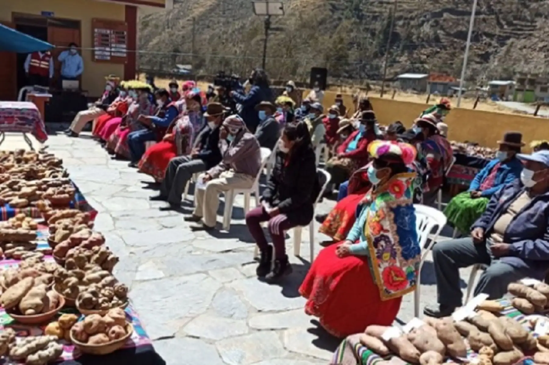 Un total de 51 familias de seis comunidades campesinas del distrito de Cuyocuyo, en Puno, se beneficiaron con las retribuciones otorgadas por el Ministerio del Ambiente, por un valor de S/ 22 000, en reconocimiento a su labor de recuperación de 22 cultivares de papa, oca, olluco y añu o mashua, que estaban en peligro de desaparecer.
