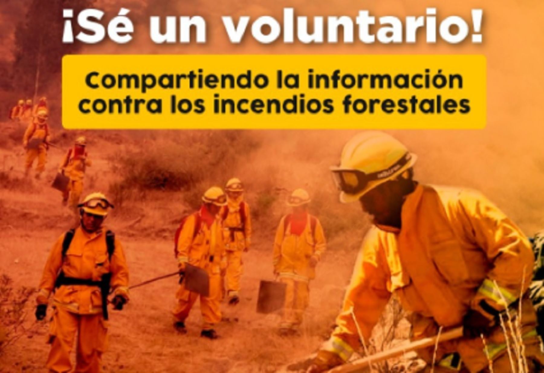 La iniciativa “Voluntarios de la naturaleza contra el fuego”, busca involucrar activamente a las personas en una estrategia de difusión de las acciones preventivas ante este tipo de emergencias.