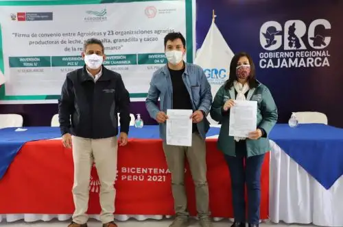 Cajamarca: Gore y Agroideas cofinanciarán 23 emprendimientos agrarios por S/ 12 millones.
