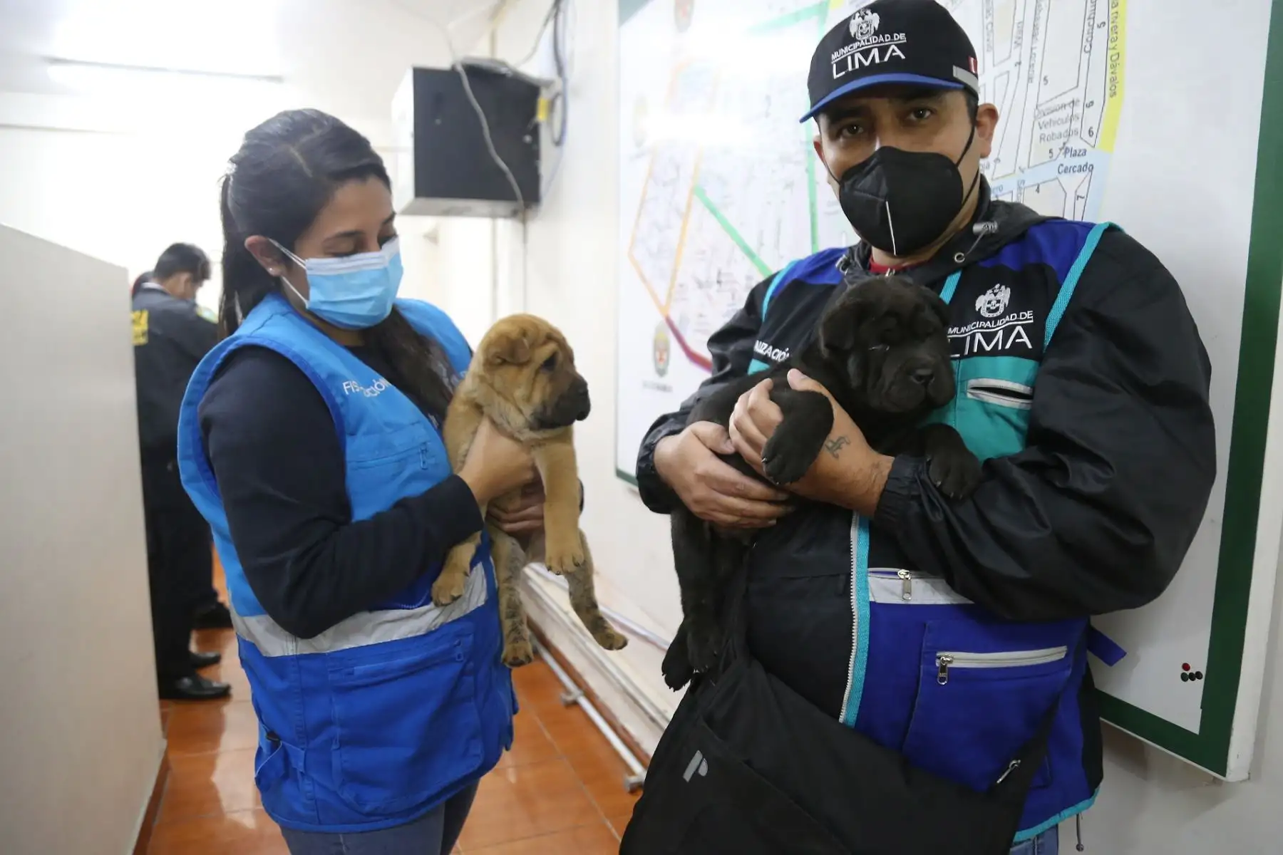MunLima y PNP intervienen a dos comerciantes informales de animales en Mesa Redonda. Foto: Difusión