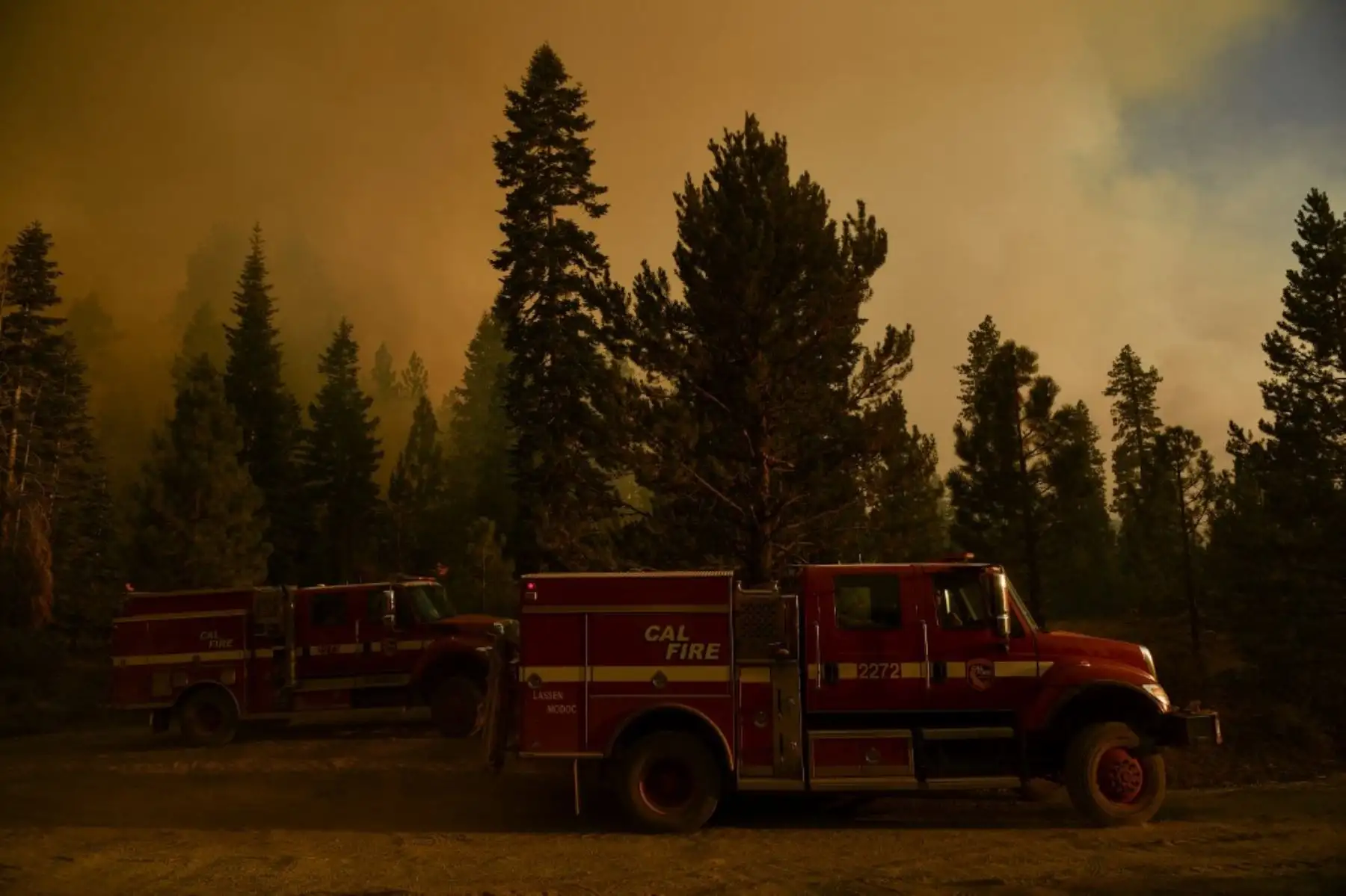 Este fuego, bautizado como Caldor, ha sido impulsado por el viento y las condiciones secas de la zona este de Sacramento (California) hasta quemar más de 25.300 hectáreas, según datos del Departamento Forestal y de Protección contra Incendios de California (Cal Fire). Foto: AFP
