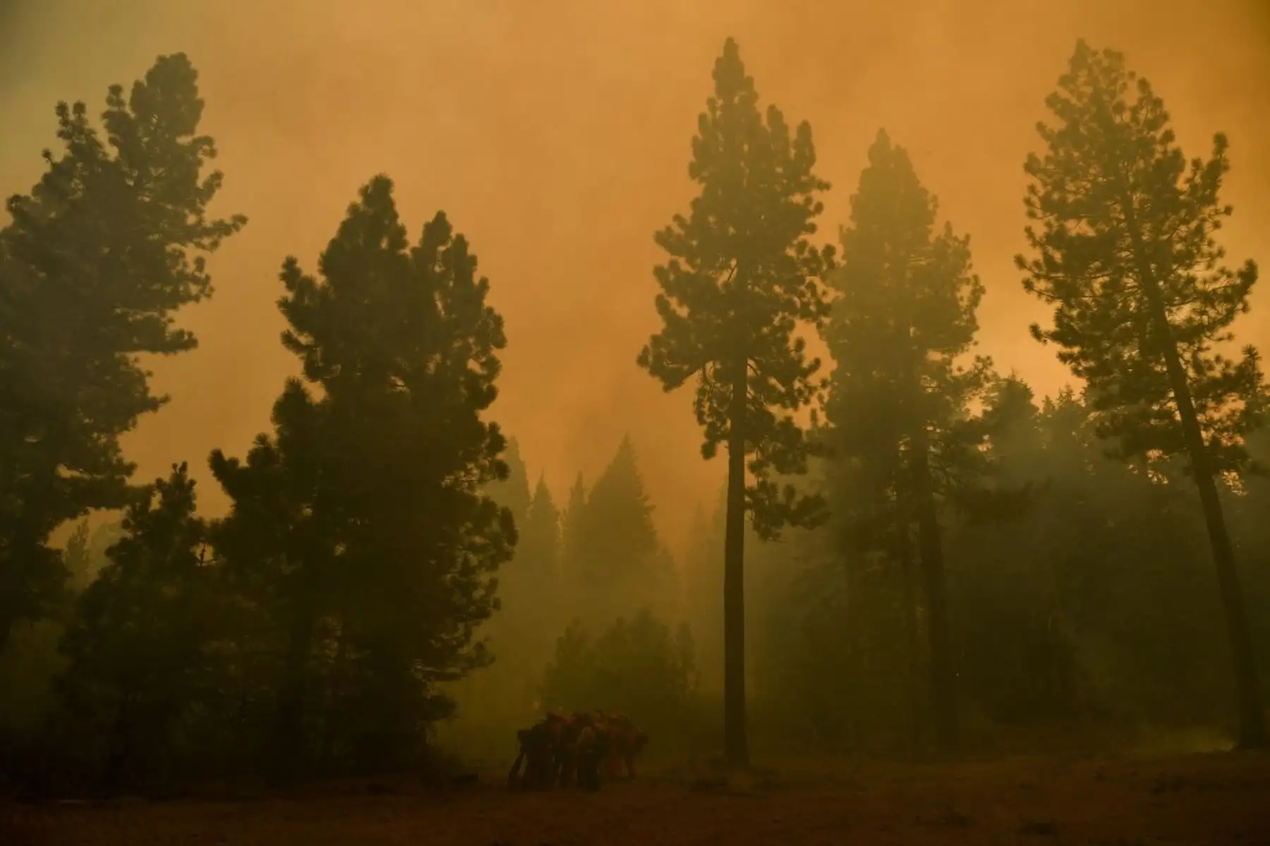 Un incendio en el norte de California (EE.UU.) multiplicó su tamaño por 24 en los últimos dos días, lo que ha obligado la evacuación de casi 25.000 residentes en total. Foto: AFP
