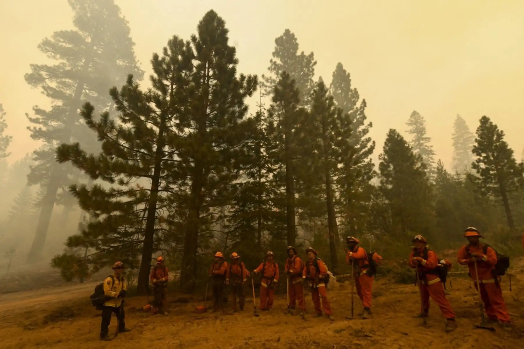 A estas horas, y según datos de la oficina del gobernador, hay más de 35.000 personas evacuadas en todo el estado. Esto incluye a más de 7.000 residentes que han sido evacuados en las últimas horas por la proximidad del incendio Dixie, el segundo fuego más grande de la historia registrado en California. Foto: AFP