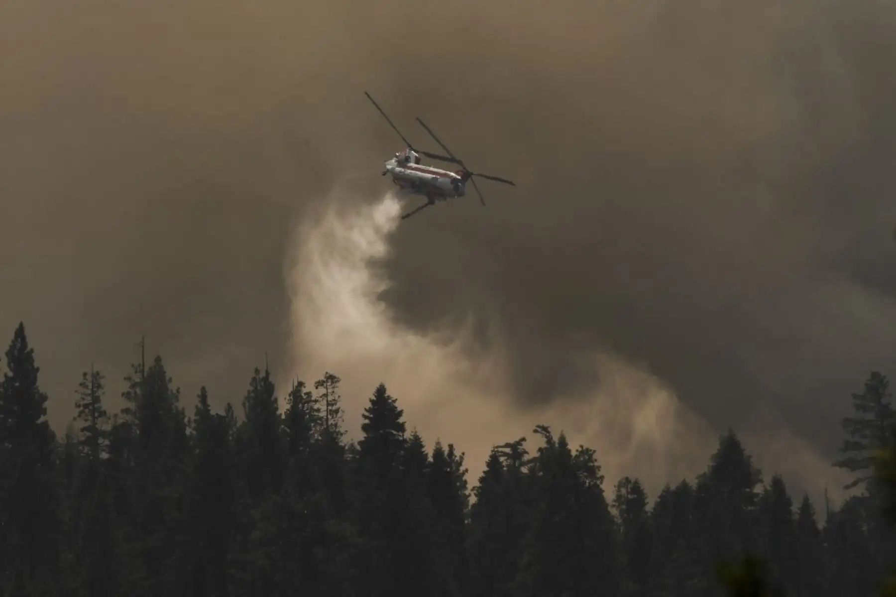 Hasta ahora, los bomberos no han sido capaces de superar el 0% de contención de un fuego que empezó a arder el pasado sábado por causas todavía desconocidas. Foto: AFP
