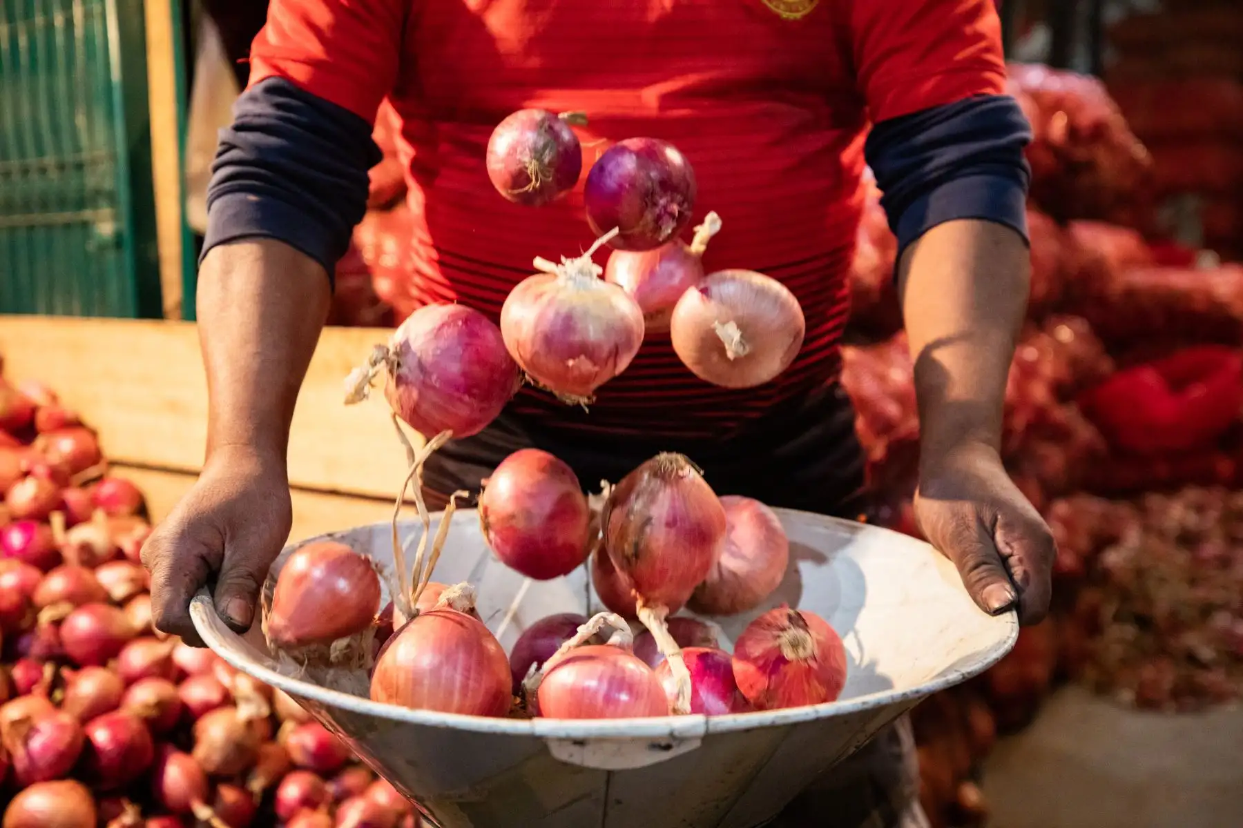 Cabe señalar que al día ingresan en promedio 700 toneladas de este producto al GMML, siendo el segundo giro más grande de este centro de abastos; el 76% de dicha cantidad procede de Arequipa.
Foto: MML