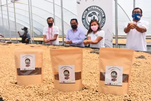 El proyecto se ejecuta con un presupuesto de un millón 200,000 soles, en beneficio de caficultores de Chanchamayo. Foto: ANDINA/Devida