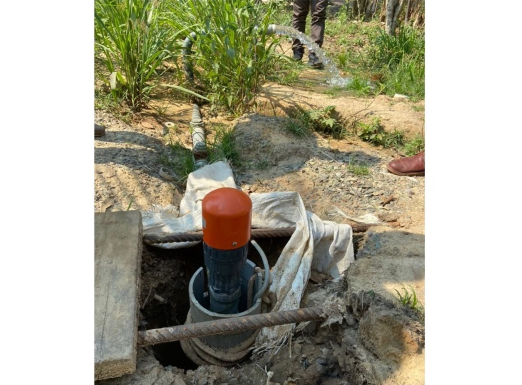 Región San Martín propone extraer agua del subsuelo para mejorar sistema de riego de cultivos de los productores dedicados a la agricultura familiar. ANDINA/Difusión
