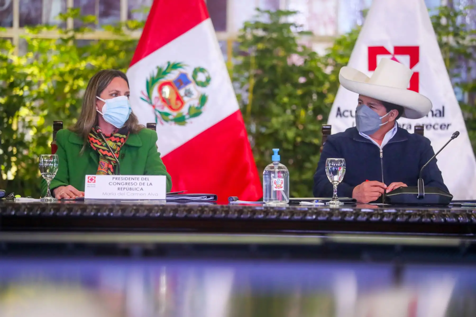 Foto: ANDINA/Prensa Presidencia.