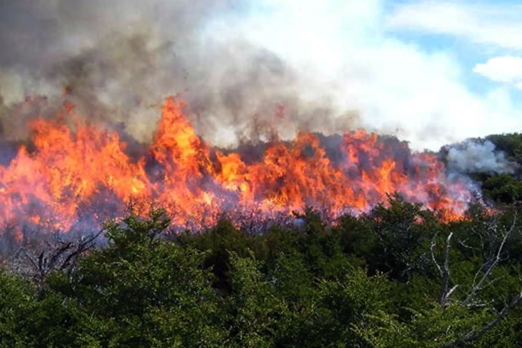 Un total de 449 alertas por incendios forestales se han reportado en Perú hasta el martes 12 de julio, reveló el Serfor. Foto: ANDINA/difusión.