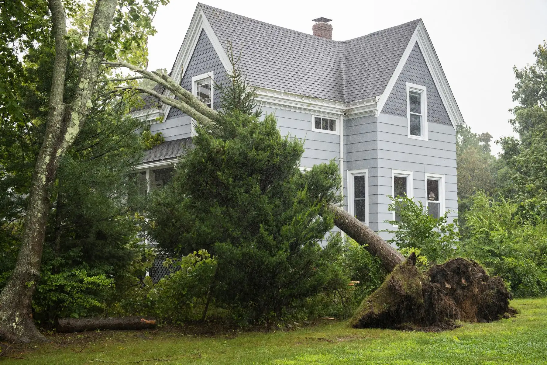 Los árboles caídos hacen que muchas líneas eléctricas se rompan por los fuertes vientos provocados por la tormenta tropical Henri, en New London, Connecticut. Foto: AFP