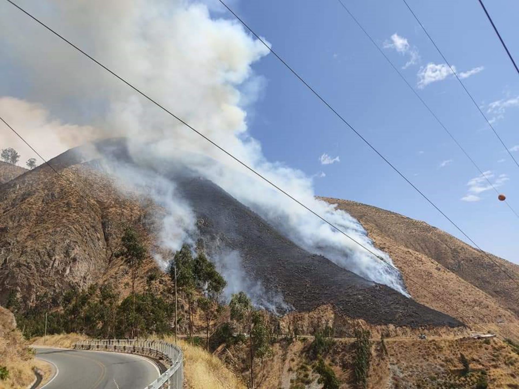 Incendio forestal arrasa con 15 hectáreas de cobertura vegetal en la carretera Pativilca–Huaraz, en la provincia de Bolognesi, región Áncash. ANDINA/Difusión