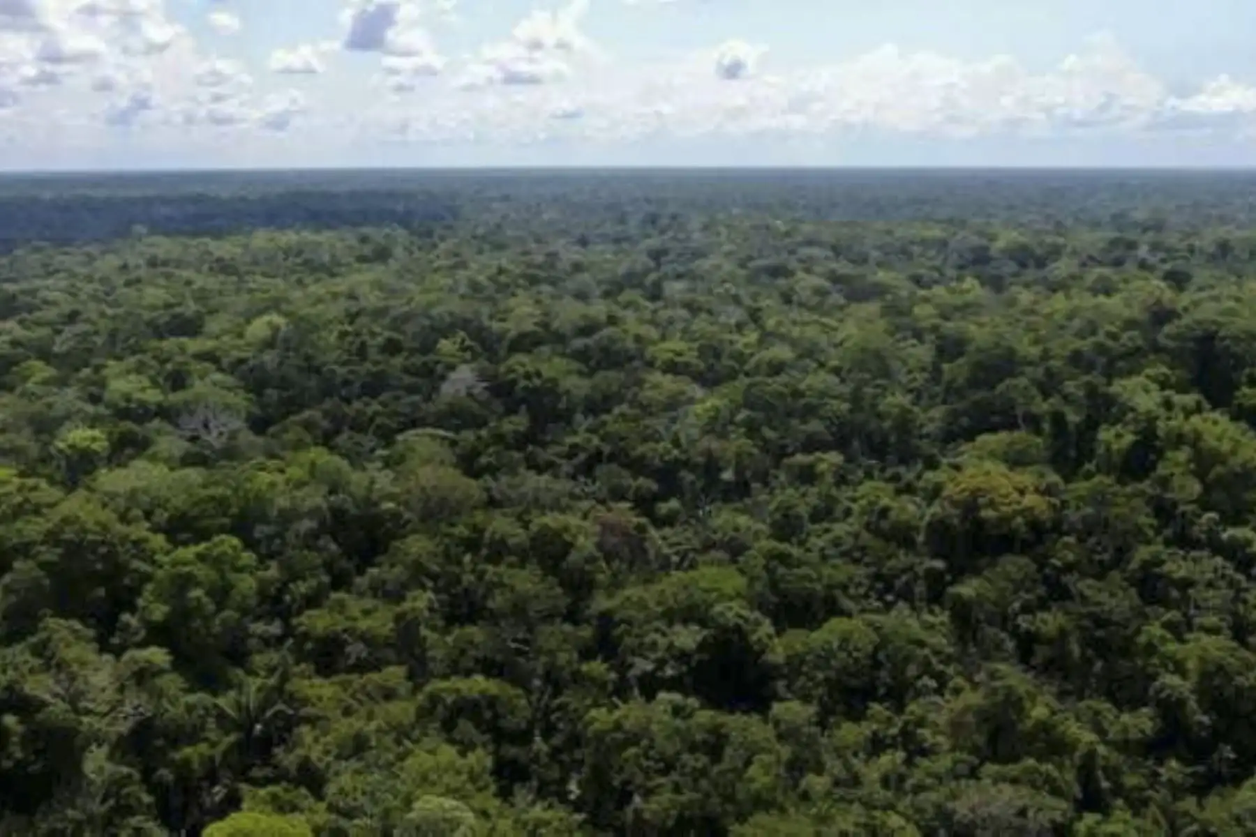 La I ExpoAmbiental UNI 2021 es un evento organizado por la Facultad de Ingeniería Ambiental de la Universidad Nacional de Ingeniería (UNI), que se desarrolla desde hoy y concluirá el 27 de agosto. ANDINA/Difusión