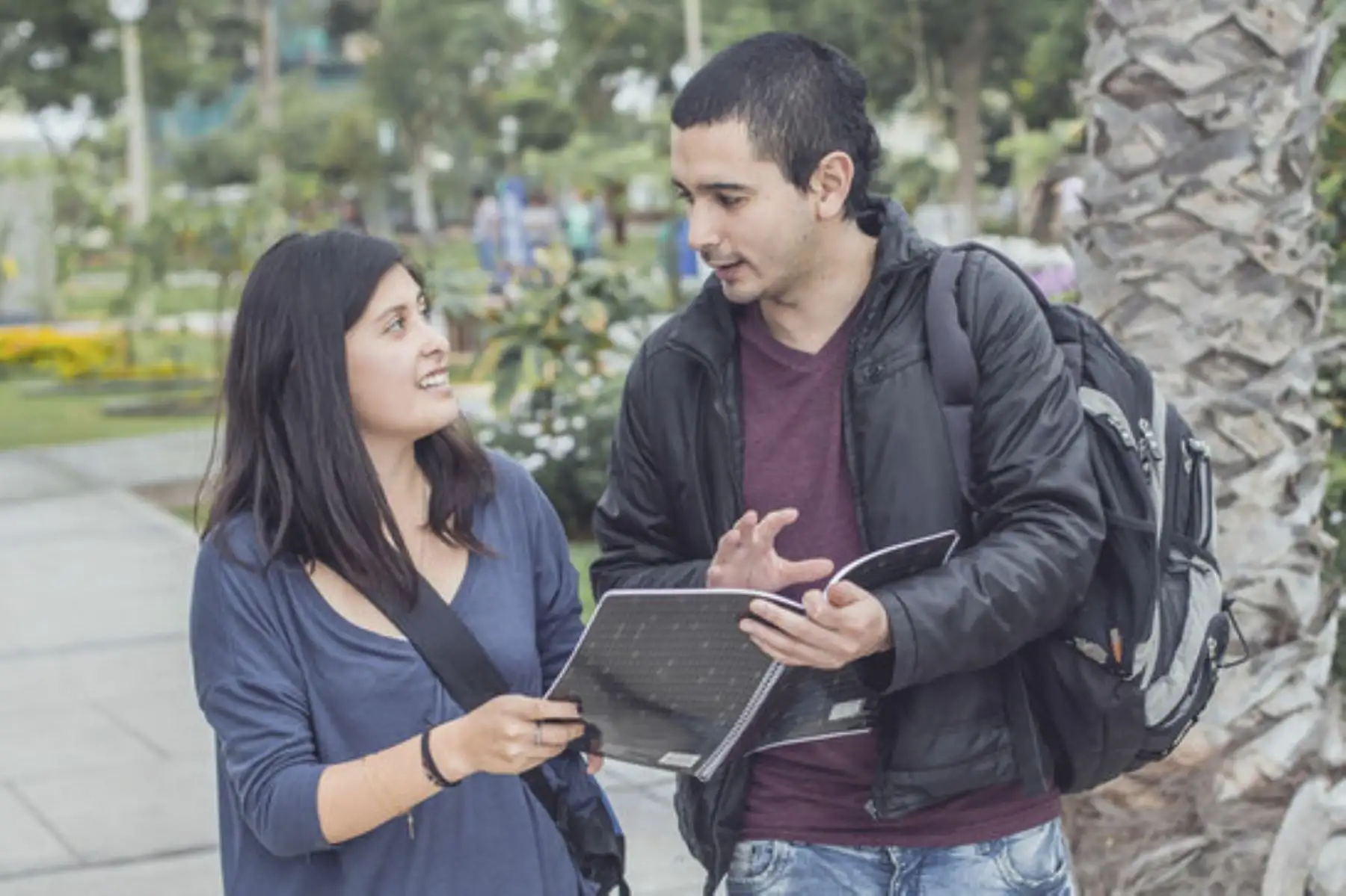La Sunedu informó que actualmente existen muchos estudiantes que están retomando sus estudios porque se han dado cuenta de que pueden terminar en la universidad de origen o solicitar su documentación para trasladarse a una universidad licenciada. ANDINA/ Sunedu