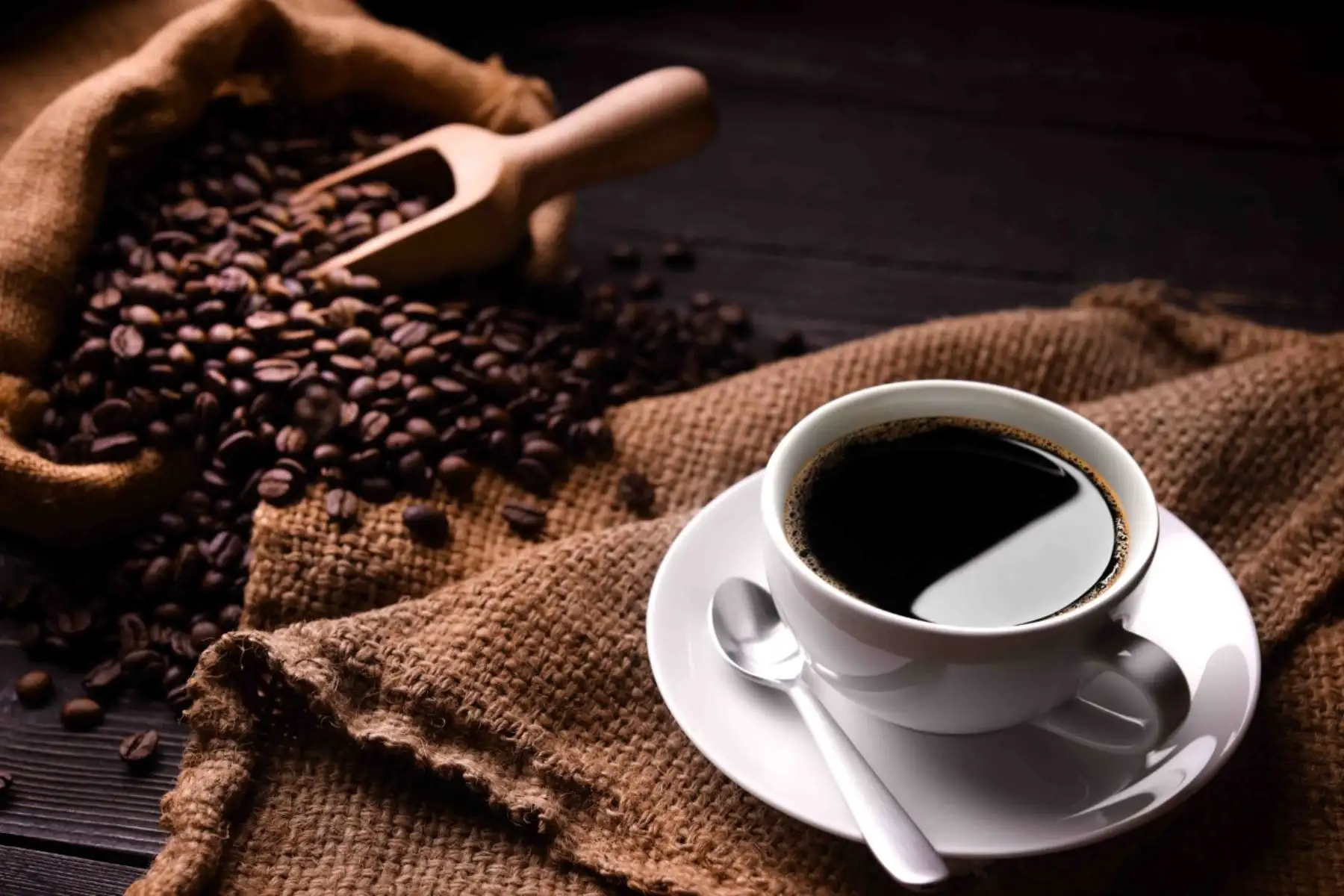 Granos de café tostado. ANDINA/Difusión