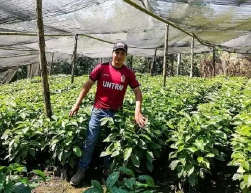 Conoce la historia de Geysen Everson Angulo Cueva, el ejemplar hijo de humildes agricultores de Amazonas que logró el tercer lugar en el concurso Beca Generación del Bicentenario. ANDINA/Difusión