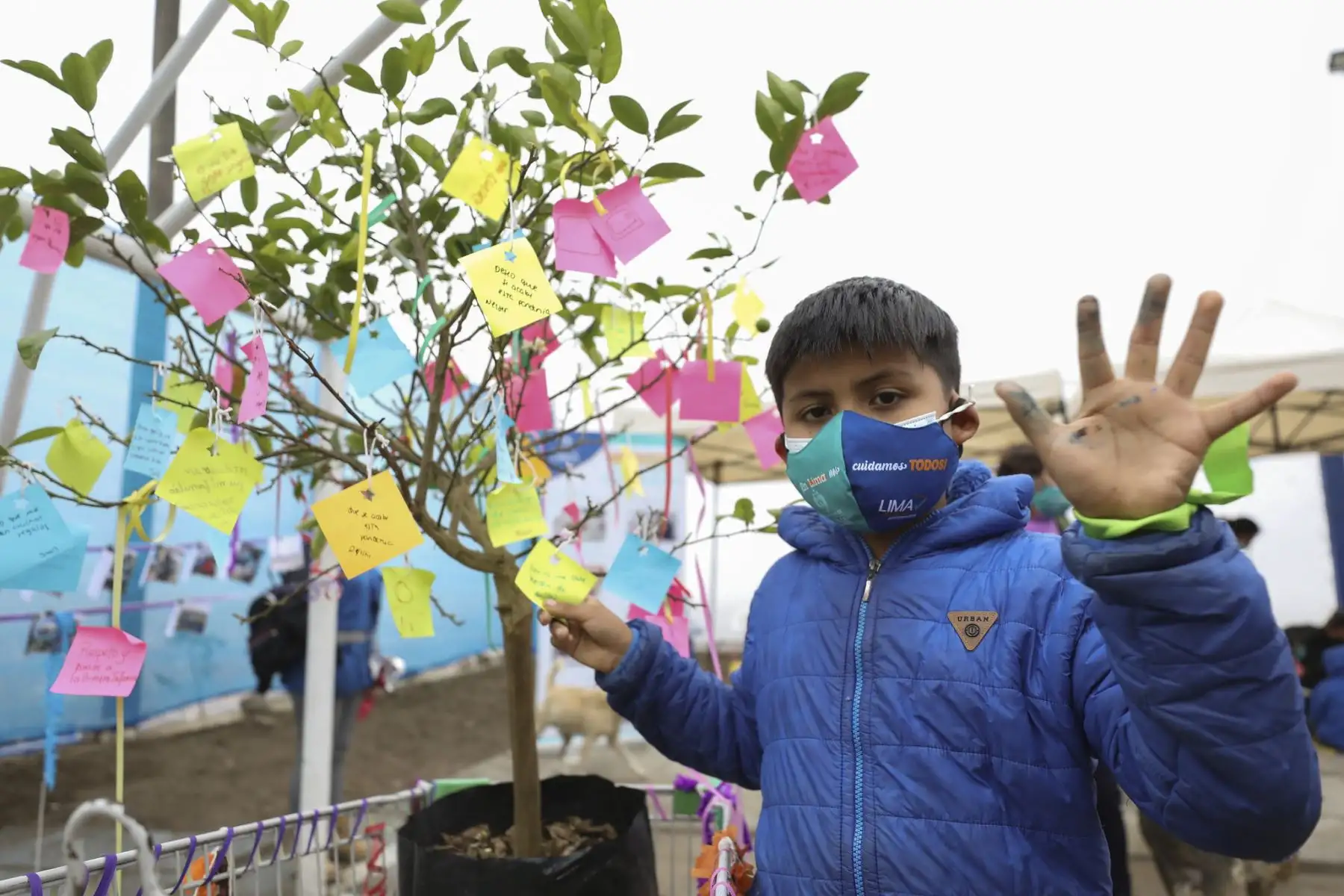 A fin de mejorar la calidad de vida en los barrios de la ciudad, la Municipalidad de Lima concluyó luego de cuatro meses la recuperación integral del cerro Papa con el apoyo de sus líderes vecinales. Foto: ANDINA/Municipalidad de Lima