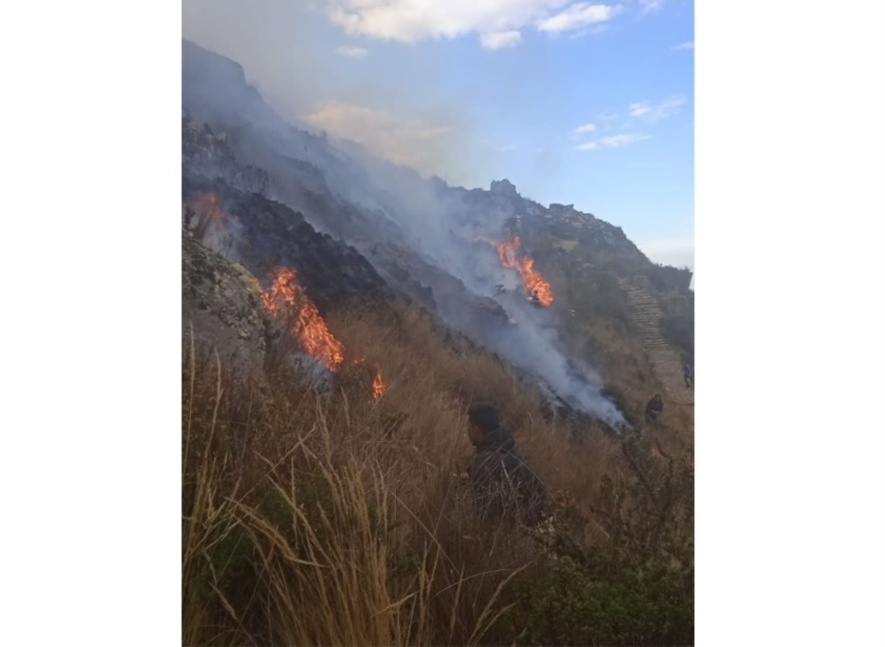 Incendio forestal arrasa con más de 200 hectáreas de pastos naturales y diversos cultivos en la región Pasco. ANDINA/Difusión