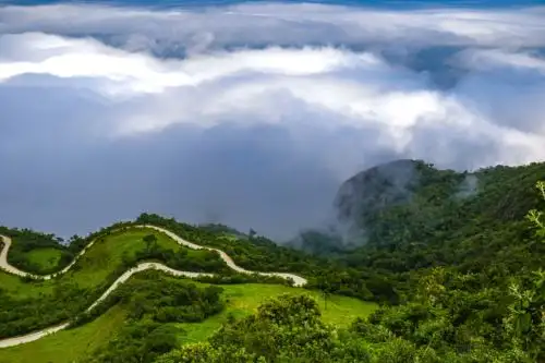 Instalan vivero forestal en Zona Reservada de Udima, ubicada en Cajamarca. ANDINA/Difusión