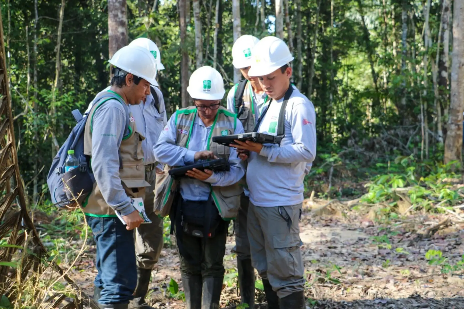 Dictan curso para profesionales del sector forestal y dar mejor protección a los bosques