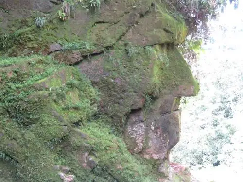 El Ministerio de Cultura declaró Patrimonio Cultural de la Nación al sitio arqueológico Rostro Harakbut, monumento de piedra ubicado dentro de la Reserva Comunal Amarakaeri, en Madre de Dios. Foto: ECA Reserva Comunal Amarakaeri/Facebook